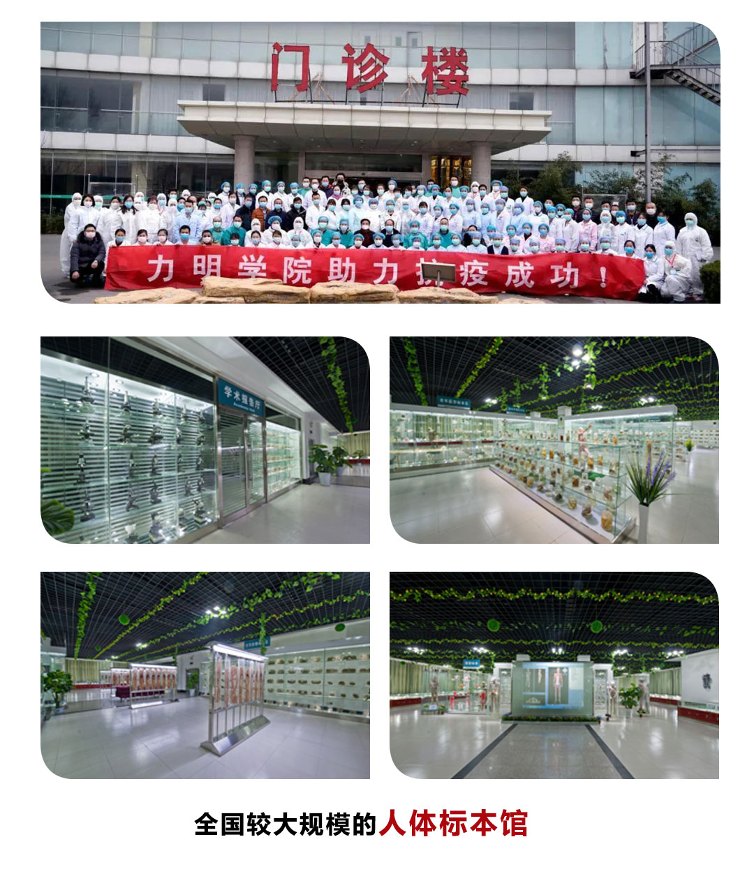 力明学院2025年招生简章|面向初中毕业生招收医学药学护理等专业学生