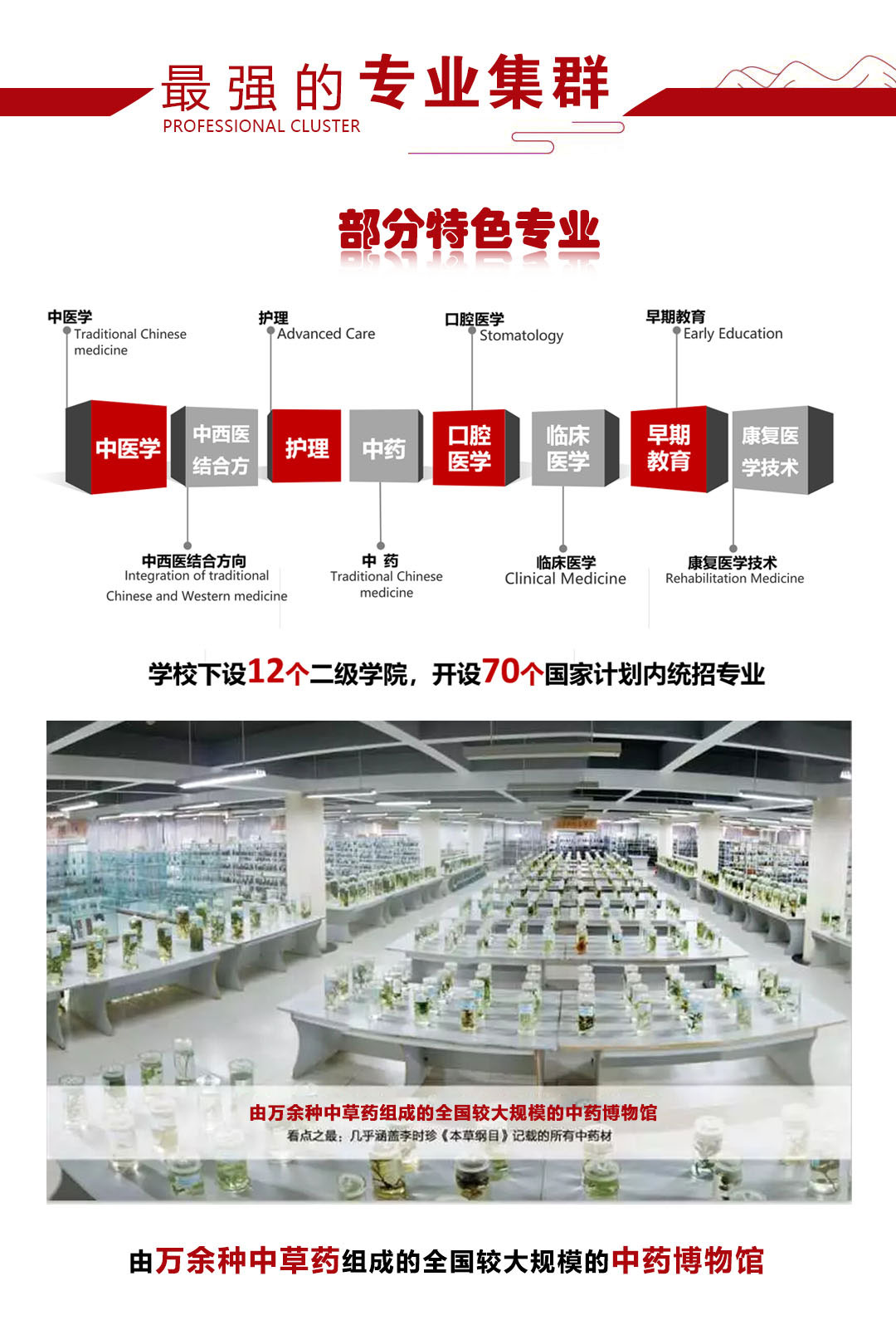 力明学院2025年招生简章|面向初中毕业生招收医学药学护理等专业学生