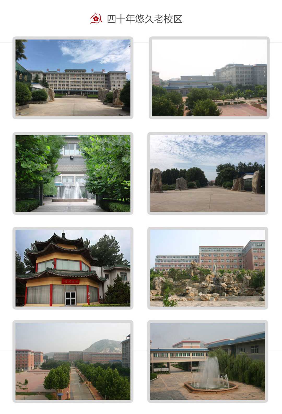 力明学院2025年招生简章|面向初中毕业生招收医学药学护理等专业学生